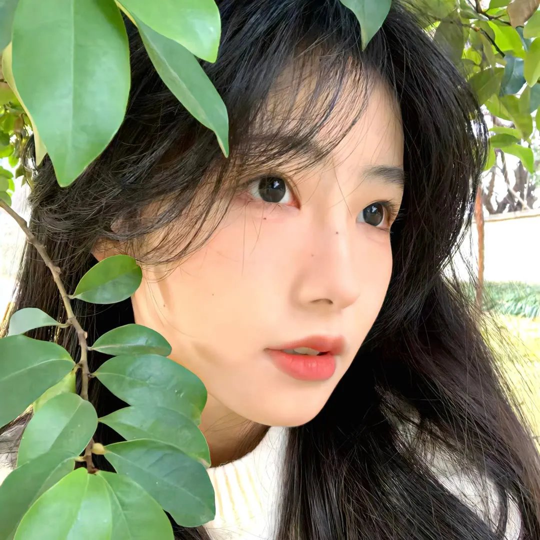 飞跃芭蕾